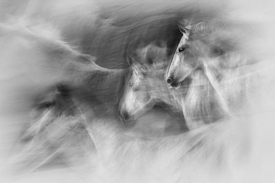 In Motion Wall Mural