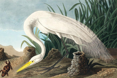 White Heron Wall Mural